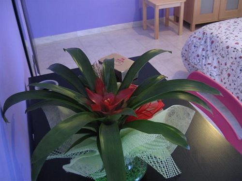 Bed and breakfast Piazza Vittorio